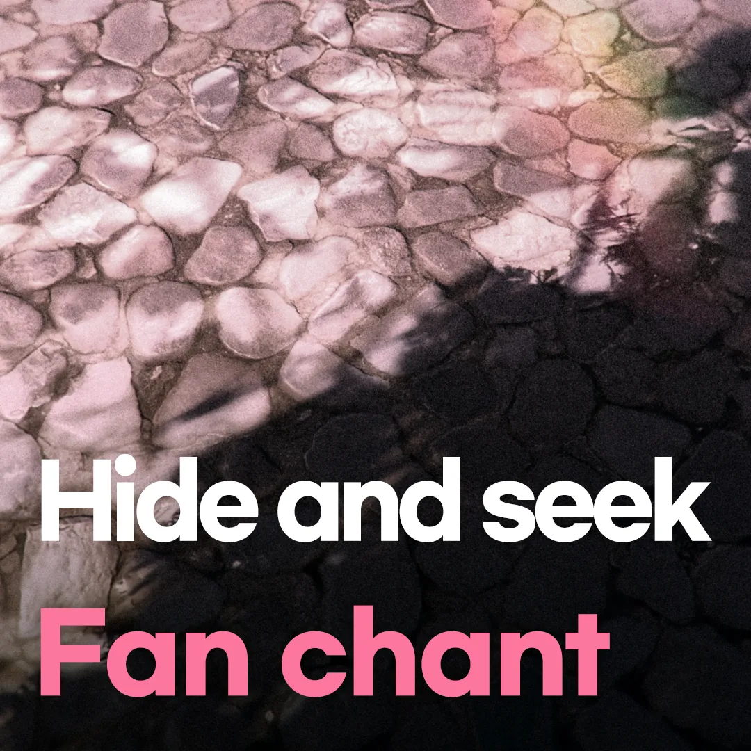 Hide and Seek