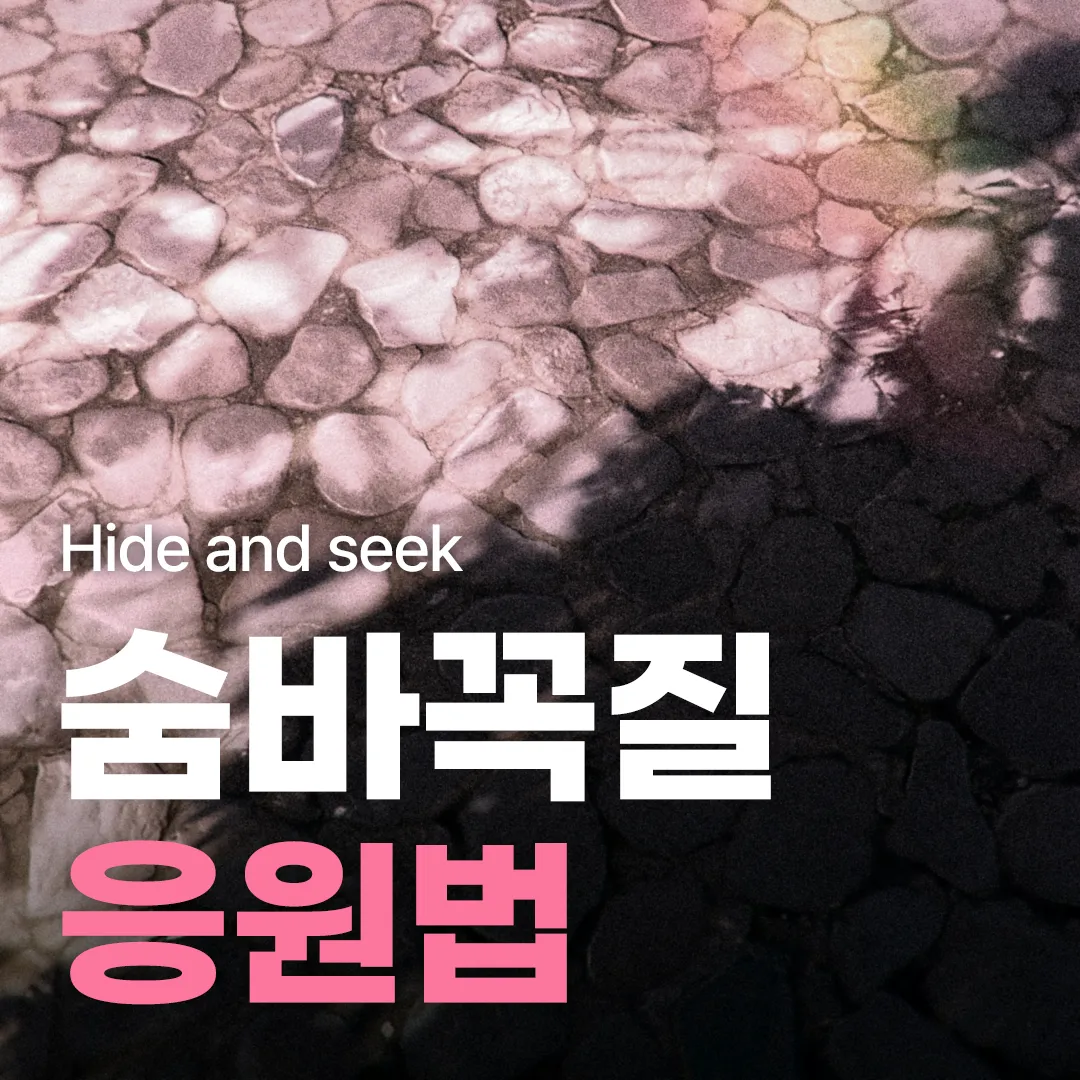 숨바꼭질